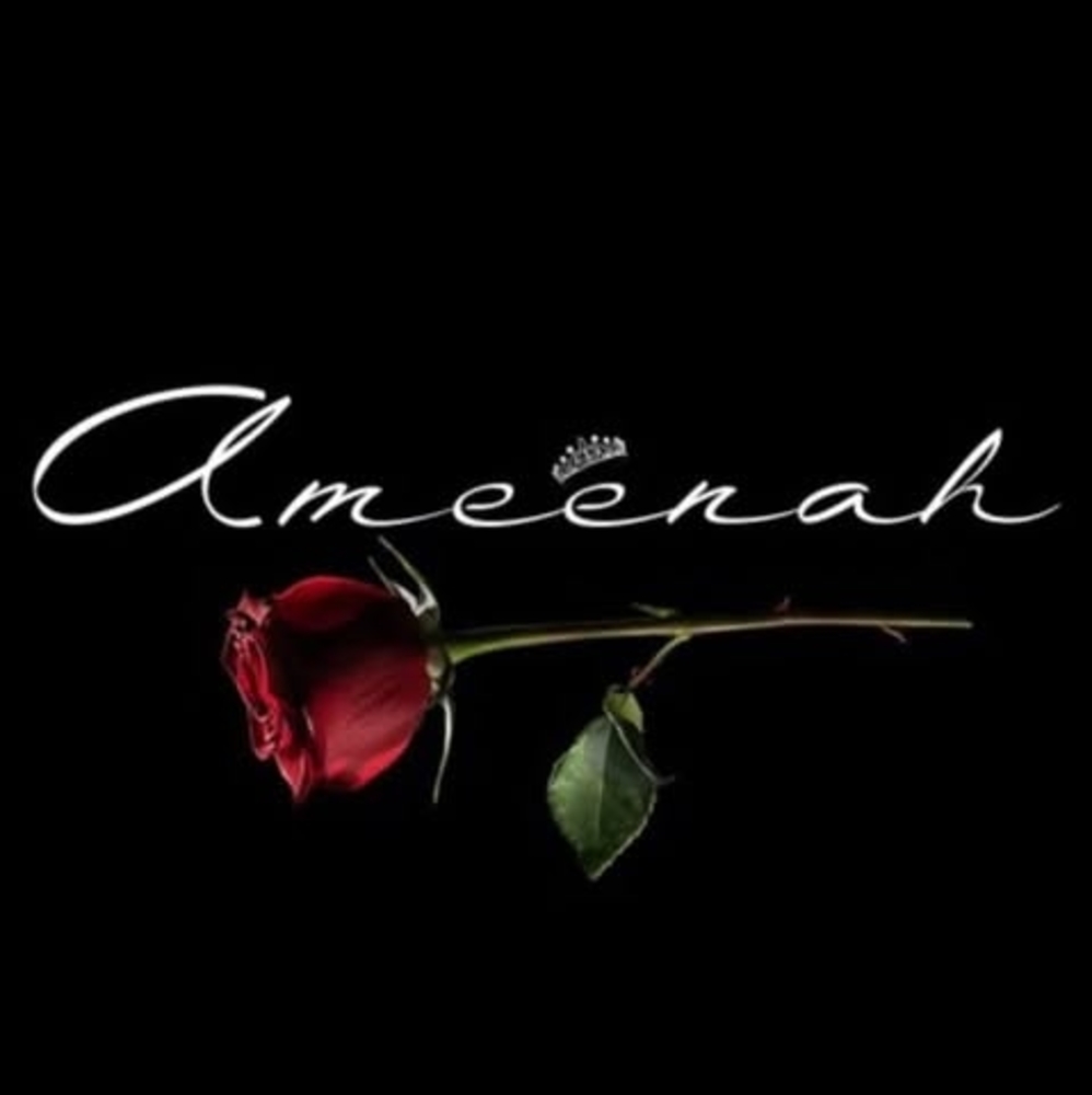 Meet your Posher, Ameenah